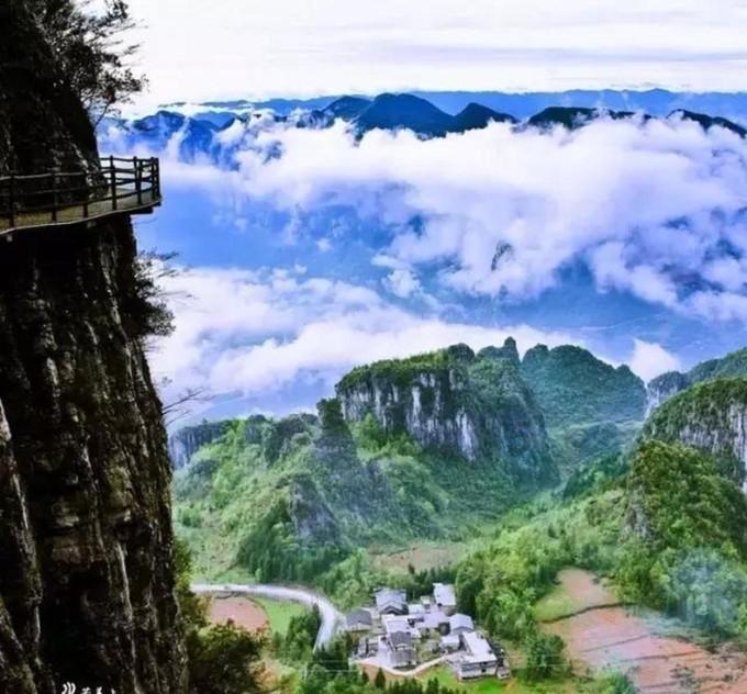 饥饿的松鼠救援