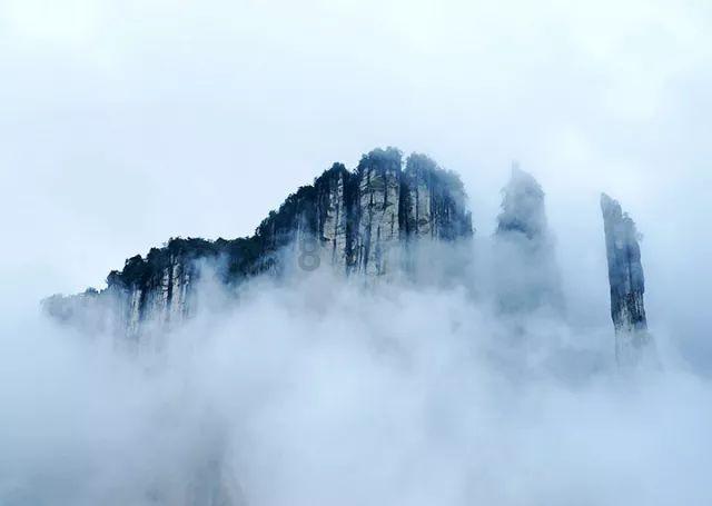 烘培蛋糕记忆卡