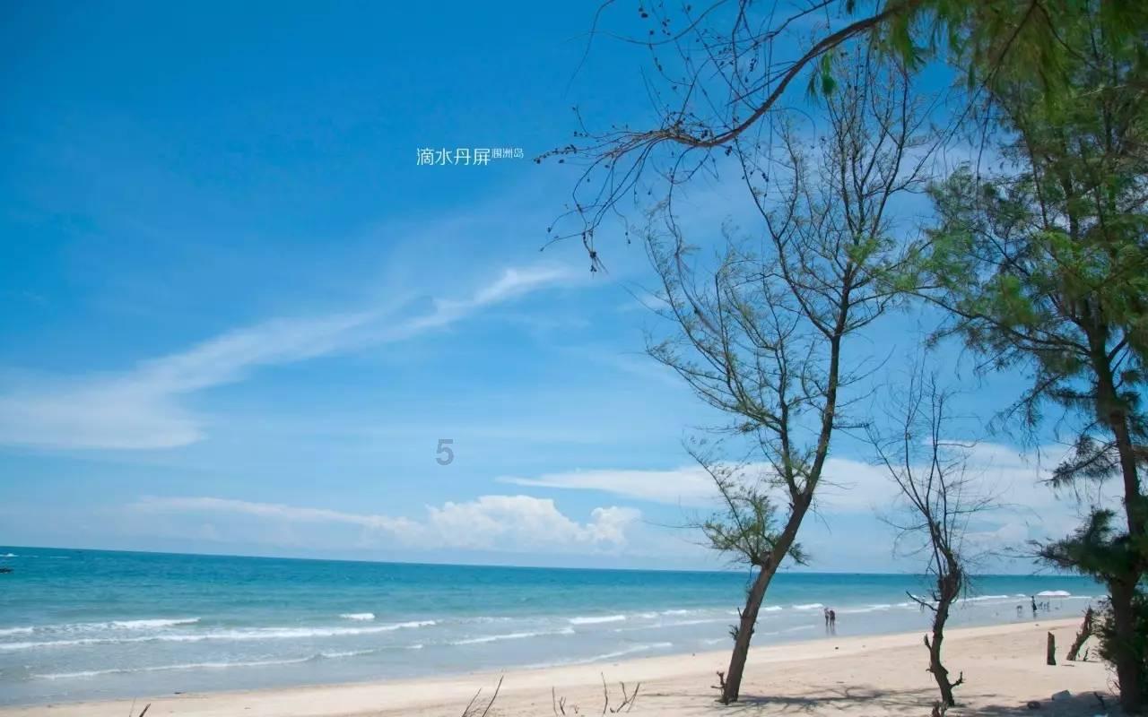 致敬!鲜花从未枯萎而是以另一种方式重新“绽放”