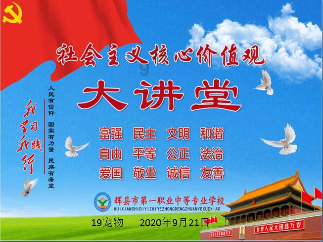 获评“上海年度最受欢迎”！松江这条旅游线路，你打卡了吗？