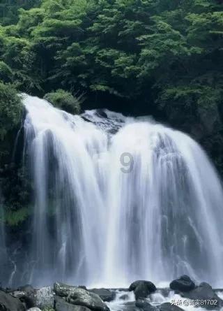 智慧林业 | “e林通”平台在武平正式上线