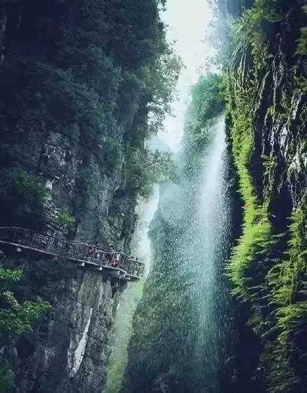 消费降级最明显的现象游戏画面