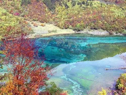 【新春走基层】贵阳观山湖灯会庙市“焕新”重启