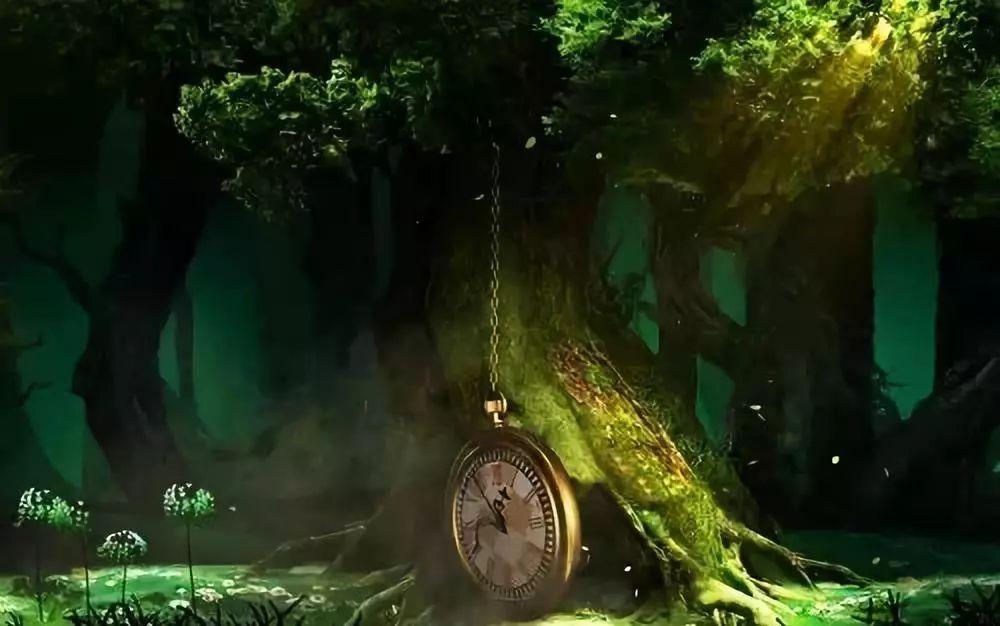 推动生态环境更高水平保护